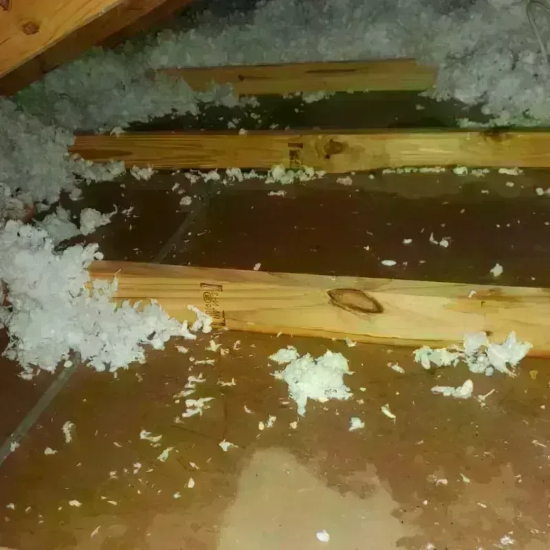 Attic Water Damage in El Monte, CA