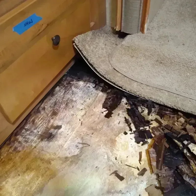 Best Wood Floor Water Damage Service in El Monte, CA